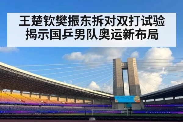 王楚钦樊振东拆对双打试验揭示国乒男队奥运新布局
